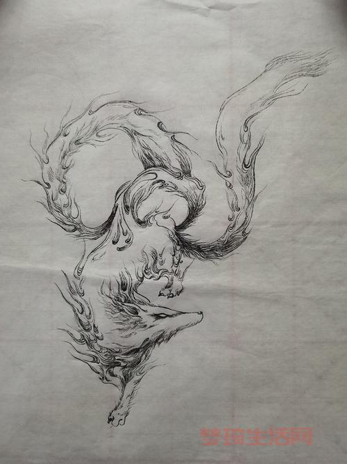 灵狐者活动指南,灵狐者插画欣赏