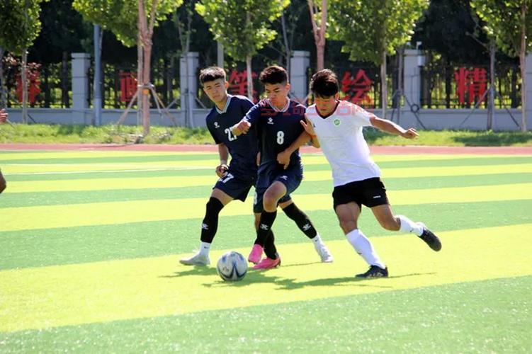 冠军足球：打造梦幻球队，称霸绿茵赛场