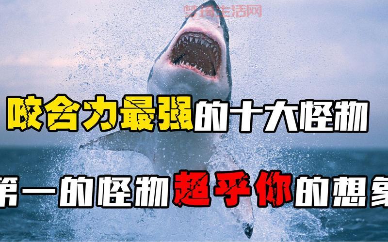 想看怪物？这本世界怪物图鉴你不能错过！