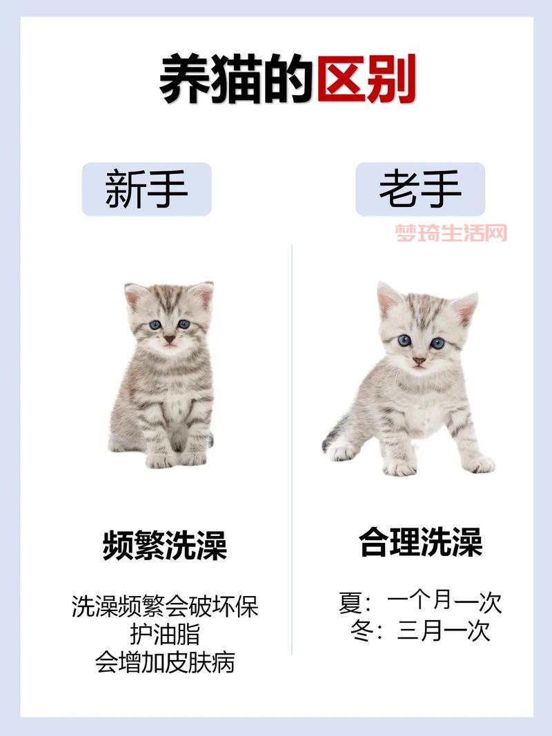 变形金刚2游戏攻略，新手老手都适用的技巧