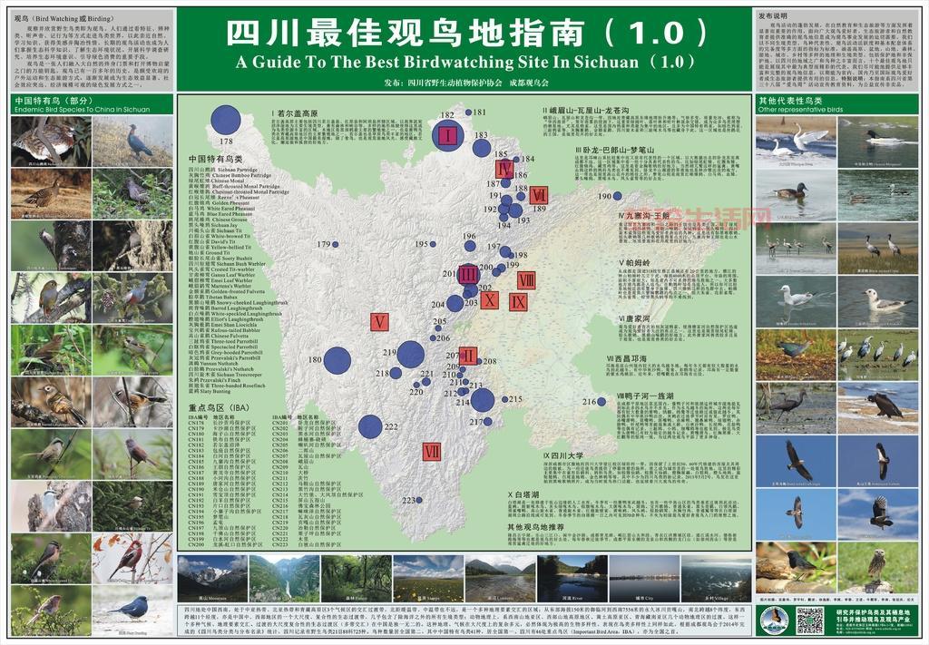 哪里能看到知更鸟？这份观鸟地图送给你！