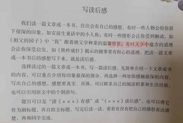 谁看过“将军玫瑰传奇”？分享一下你的读后感吧！
