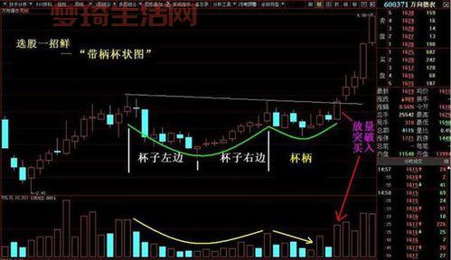 仙途2怎么快速升级？老玩家分享独家秘籍！