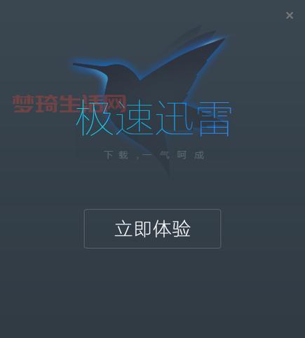 想看门第？迅雷极速下载链接安排上！