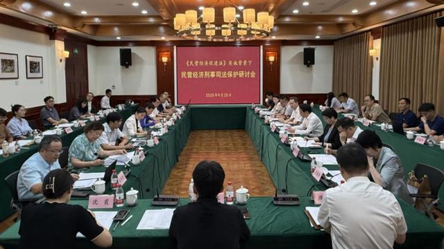中国民营经济_民营经济促进法 刑事司法保护 民营企业权益保护