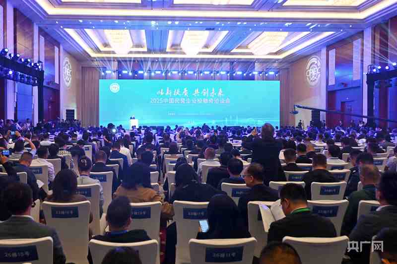 2025中国民营企业投融资洽谈会在津开幕