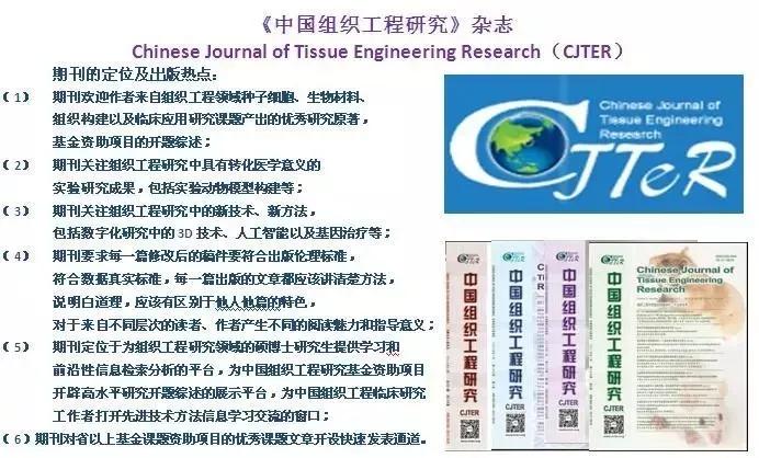 扩大论文及其研究的学术影响力