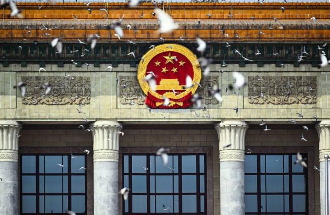 1万只和平鸽被放飞_北京市民信鸽参与阅兵式_纪念中国人民抗日战争暨世界反法西斯战争胜利80周年大会和平鸽放飞