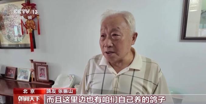 北京市民信鸽参与阅兵式_1万只和平鸽被放飞_纪念中国人民抗日战争暨世界反法西斯战争胜利80周年大会和平鸽放飞