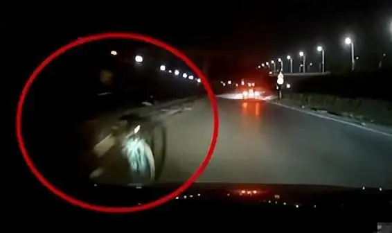 春节高速安全驾驶 _高速碰瓷 防范技巧 _宝安沙井碰瓷