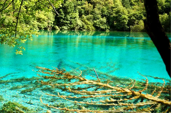 中国最美小镇排行榜_江南水乡古镇旅游攻略_中国最美小镇推荐