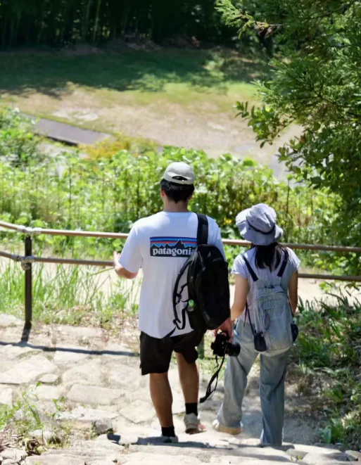 日本熊灾,吓跑多少中国游客? 日本熊灾,吓跑多少中国游客?