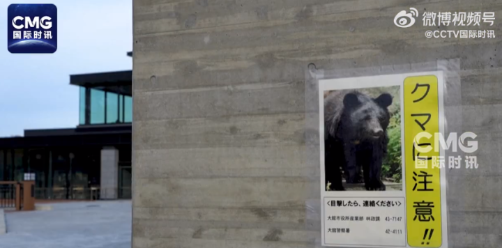 日本熊害事件_熊袭击人类新闻_日本熊灾现场有明显吃人痕迹