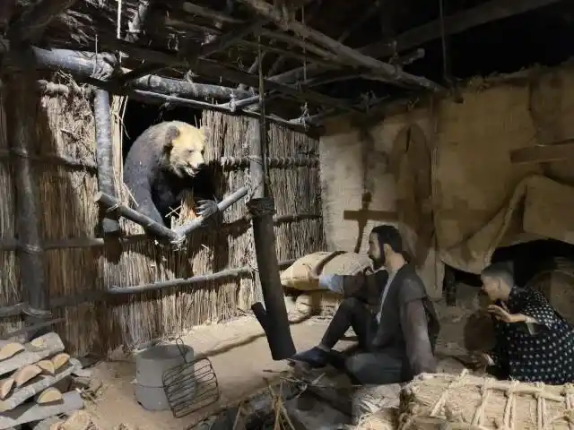 日本熊袭击事件_日本熊灾现场有明显吃人痕迹_日本熊害问题