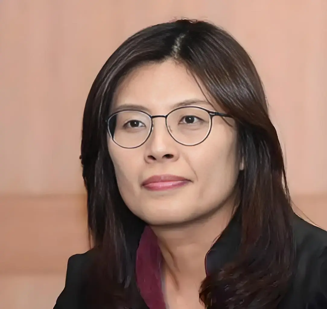 郑丽文当选九二共识_郑丽文就两岸关系强势回应外媒_郑丽文反对台独