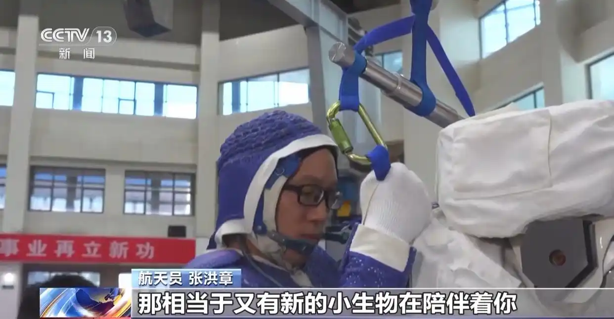 中国首次送小鼠进入“太空家园”_神舟二十一号发射时间_神舟二十一号载人飞行任务