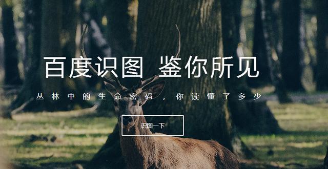 只会用“百度一下”?百度这些小工具也好用到飞起! 只会用“百度一下”?百度这些小工具也好用到飞起!