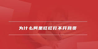阿里旺旺打不开原因_阿里旺旺无法连接网络解决方法_360浏览器淘宝点不开旺旺