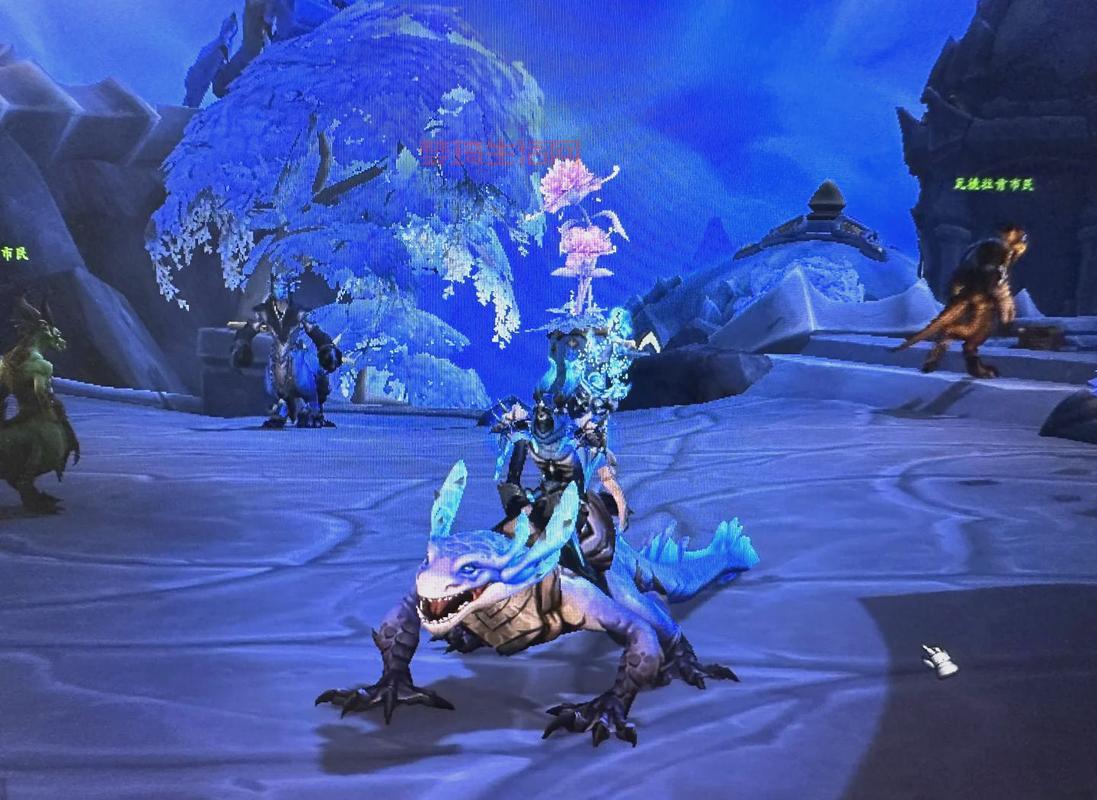 魔兽世界圣骑士幻化怎么搭配？老玩家教你！