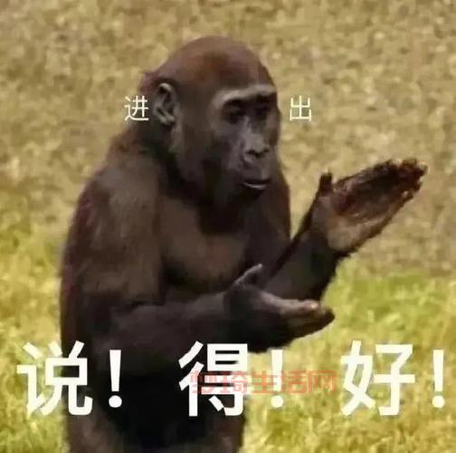 超火的小猴子表情包推荐！可爱到让你停不下来！