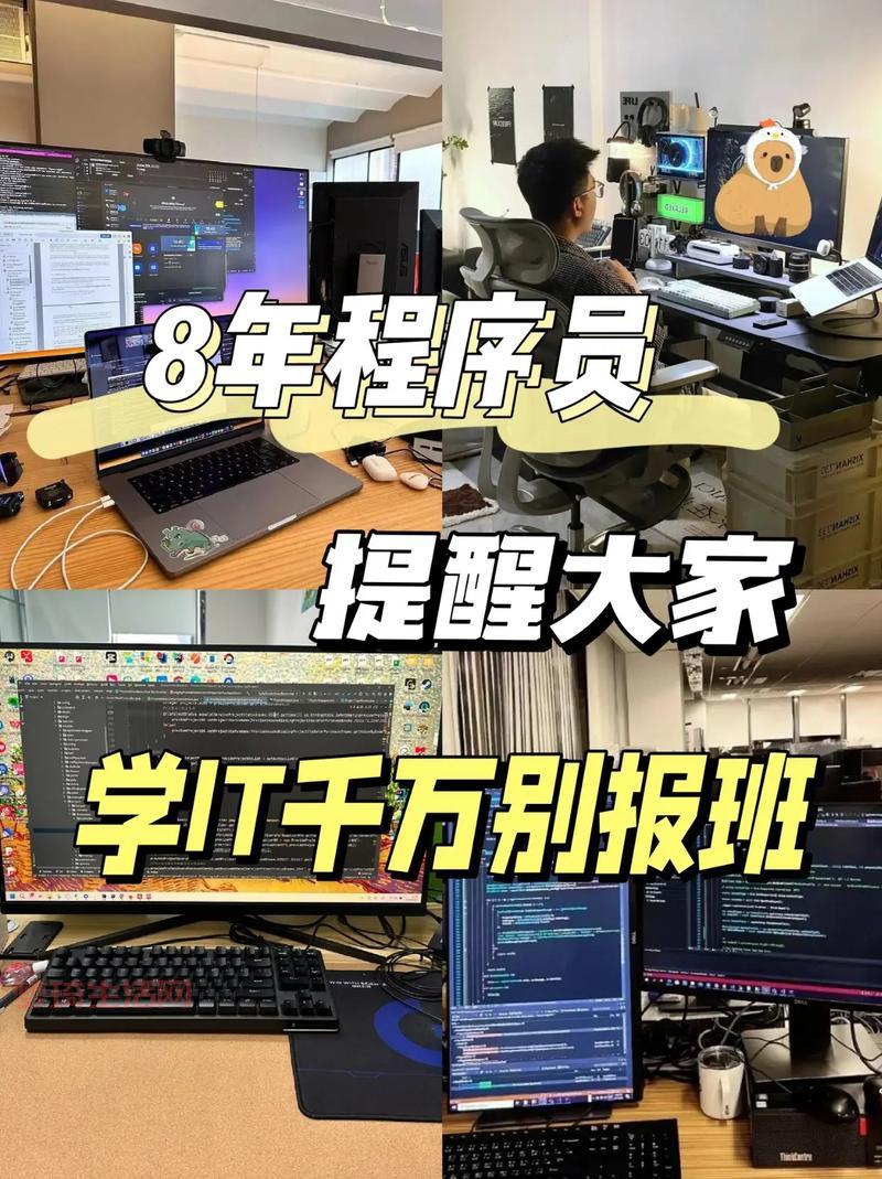 程序猿学什么语言好？这几种语言更好就业！