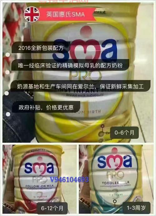 想了解伊利亚？这篇文章让你全面认识他！