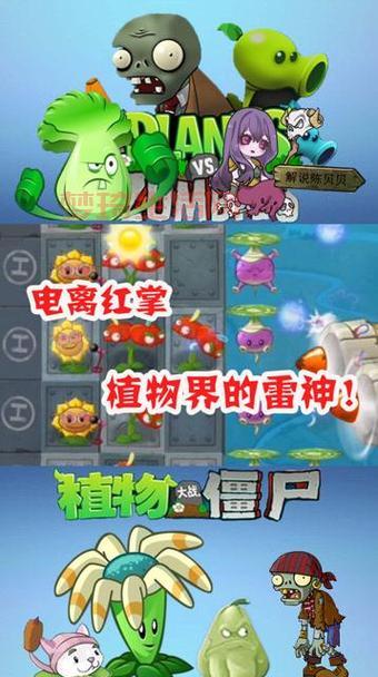 植物大战僵尸的哪个角色厉害？选它准没错！