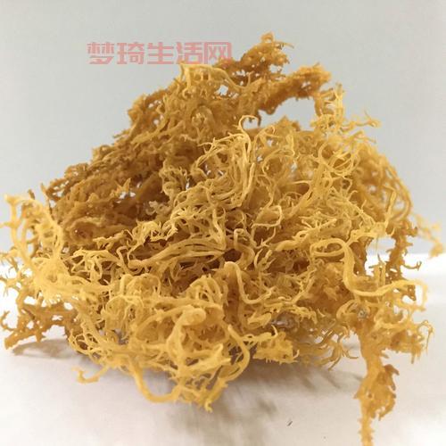海苔是用什么海藻做的？99%的人都不知道的答案！