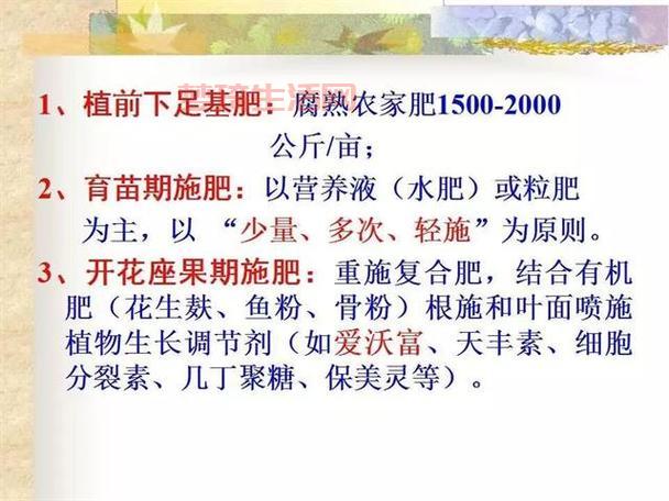 占地3亩做什么好？这几个方案值得一看！