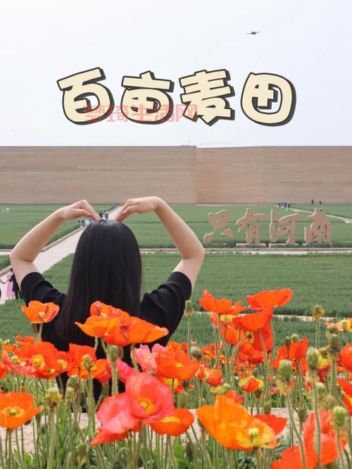 占地3亩做什么好？这几个方案值得一看！