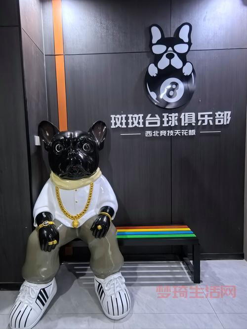 台球里的黑八是什么意思啊？老司机给你解释！