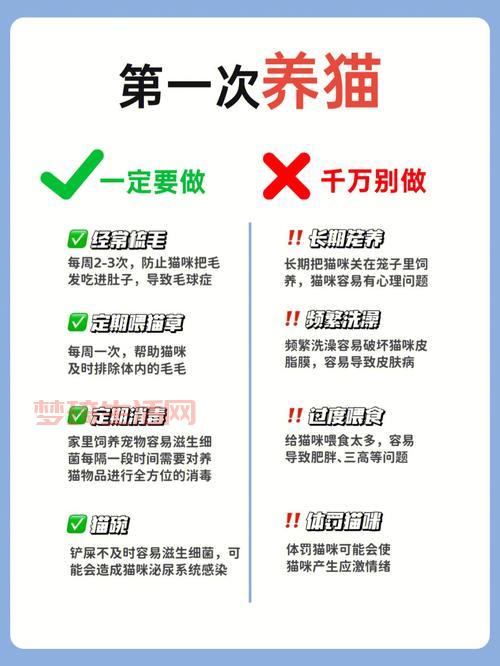 第一次去diliudalu要注意什么？新手攻略看这篇！