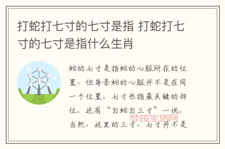 打蛇打七寸的七寸是指哪里？这个位置一打一个准！