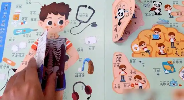幼儿园识字教育的重要性_家长应避免的识字误区_幼儿识字教育
