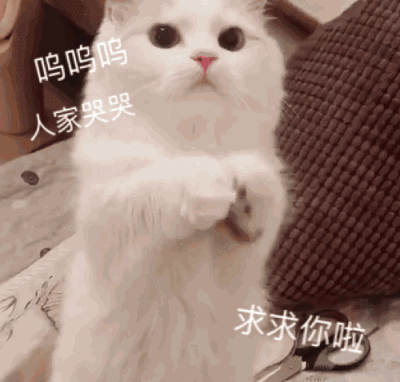 线上投稿平台攻略_30年老手投稿平台推荐_哪些网站可以投稿赚钱
