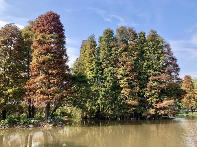 天河公园历史_广州天河公园野战_广州市天河区博物馆