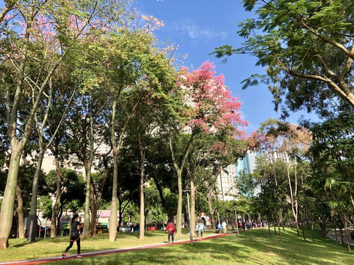 广州市天河区博物馆_天河公园历史_广州天河公园野战