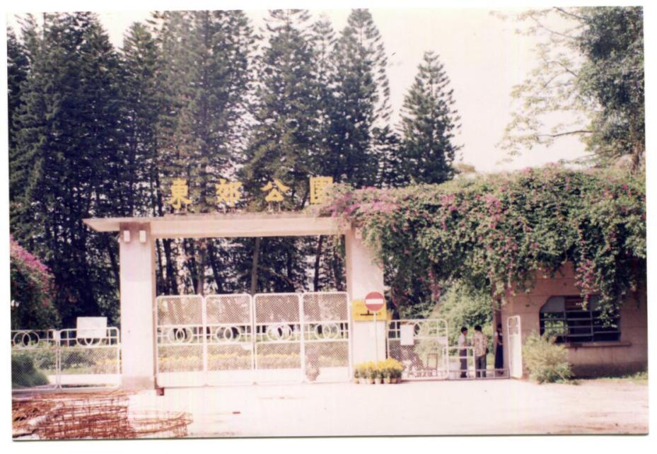 天河公园历史_广州天河公园野战_广州市天河区博物馆