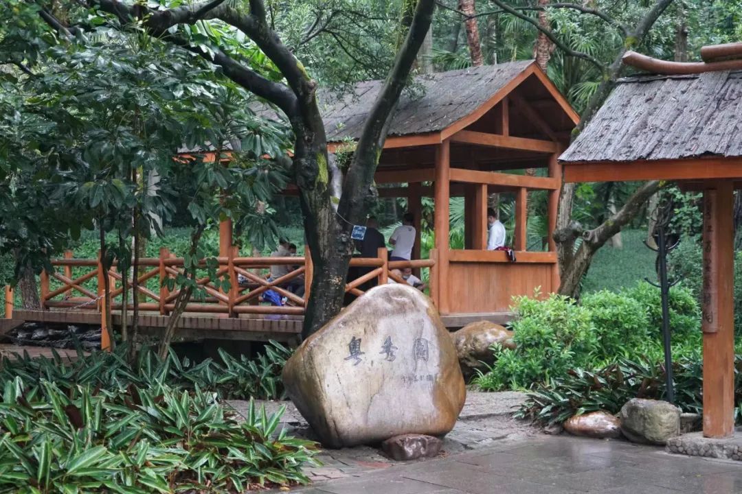 广州天河公园野战_天河公园的前世今生_天河公园的历史变迁