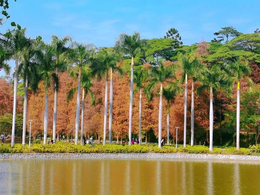 天河公园的前世今生_天河公园的历史变迁_广州天河公园野战