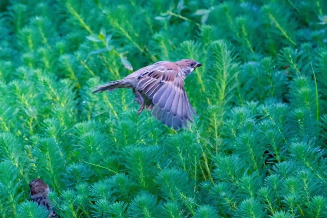 广州天河公园野战_天河公园的前世今生_天河公园的历史变迁