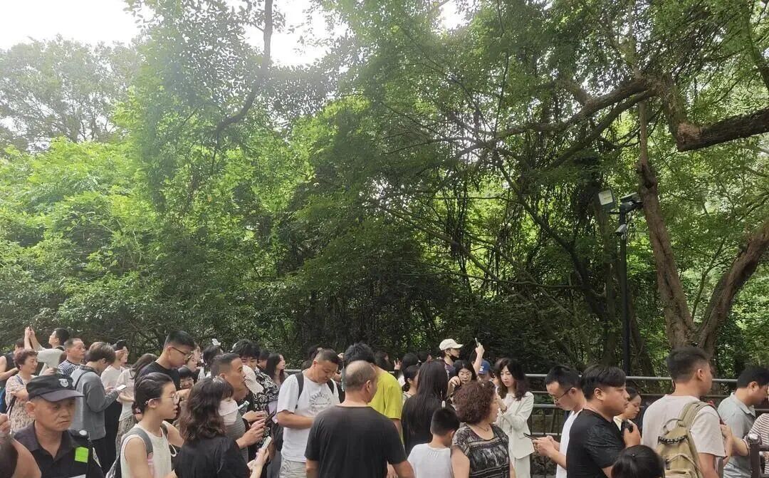 今天的西湖、灵隐寺、满觉陇人流爆满！交警、地铁最新提醒