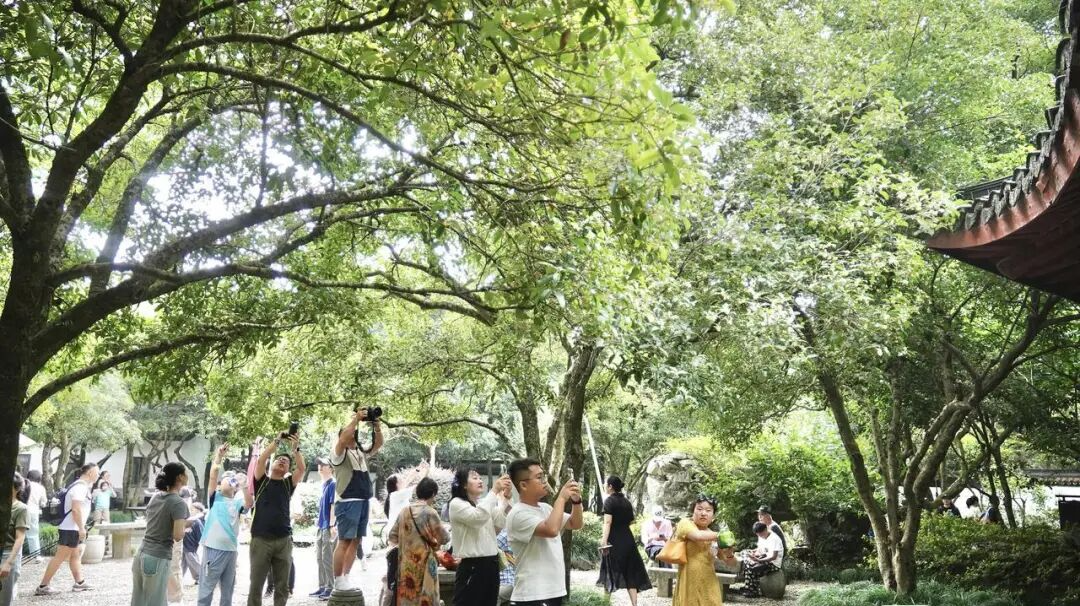 杭州西湖地铁交通指南_“堵山”“堵景区”后地铁也堵了_国庆杭州西湖交通拥堵