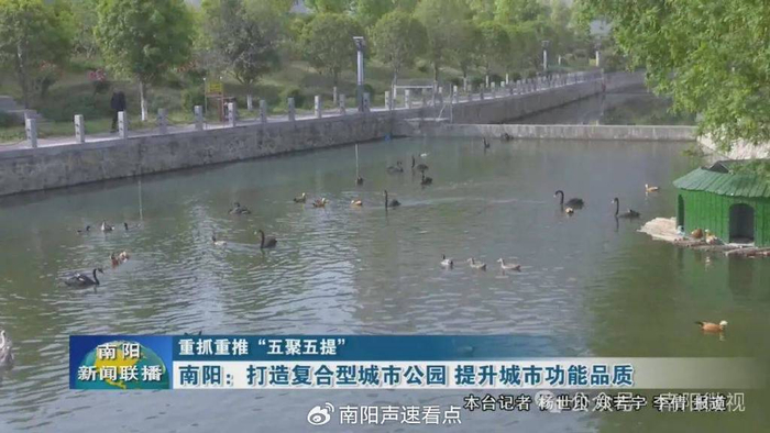 最近南阳人民公园戏曲_南阳复合型城市公园_南阳街头游园建设