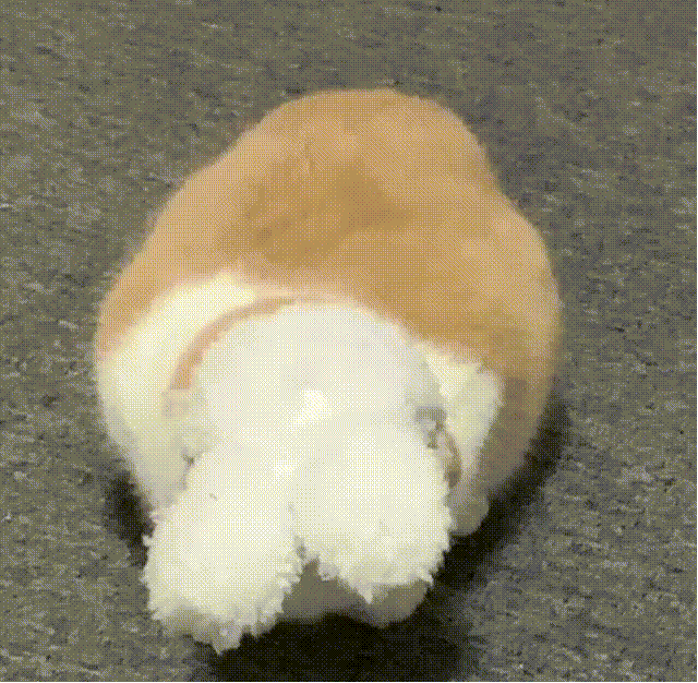 404页面创意案例_政府网站404打不开_404错误页面设计