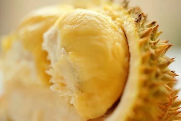 只把价格打下来不是真“榴莲自由”_国产榴莲上市时间_国产榴莲价格预测