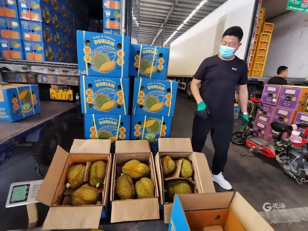 越南榴莲批发市场行情_青岛榴莲价格下降_只把价格打下来不是真“榴莲自由”