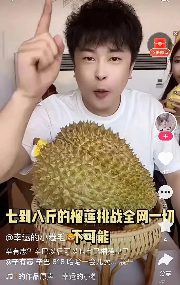 榴莲价格走势_海南榴莲价格预测_只把价格打下来不是真“榴莲自由”