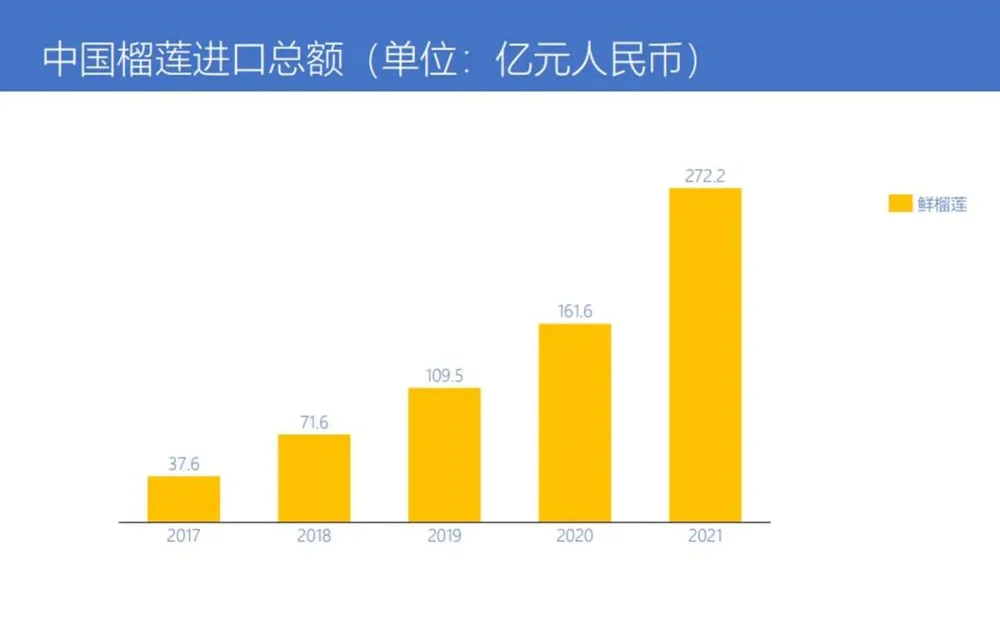 海南榴莲价格预测_榴莲价格走势_只把价格打下来不是真“榴莲自由”