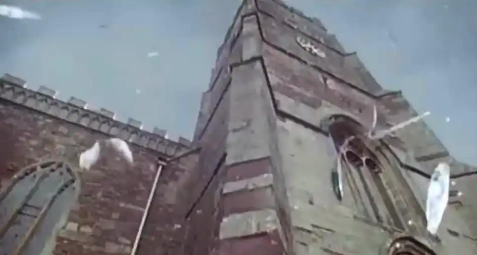 鬣蜥从树上掉下来 现象解释_天使从天而降 事件真相_食物从天而降